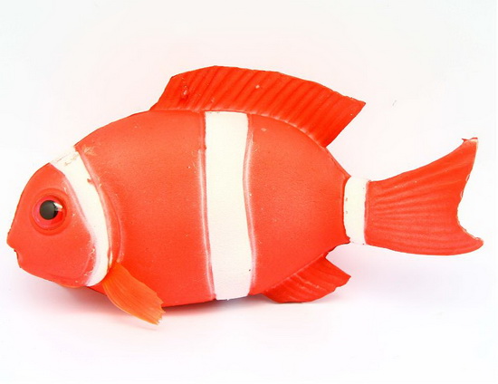 Clownfish Anemone Fish MH05218