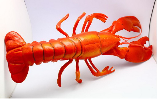 langouste- Bigger lobster-Prawn MDXP03