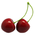 Artificial Cherry MHSG14008