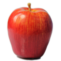 Artificial Red Apple MHSG14001-2