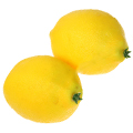 Artificial Yellow Lemon MHSG14016