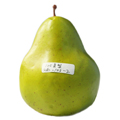 Artificial Green Pear MHSG14029