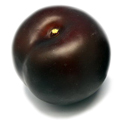 Artificial Plum MHSG14034