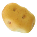Artificial Potato MHSC14002