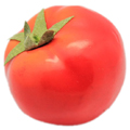 Artificial Tomato MHSC14007