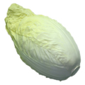 Yellow Chinese Cabbage(big) MHSC14008