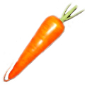 Artificial Carrot MHSC14020