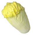 Yellow Chinese Cabbage(small) MHSC1408-1