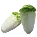 Green Chinese Cabbage(small) MHSC14009-1