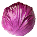 Artificial Purple Cabbage(small) MHSC14012-1
