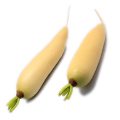 Artificial White Radish MHSC14019