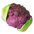 Artificial Purple Cauliflower(middle) MHSC14025
