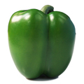 Artificial Green Bell Pepper MHSC14028