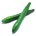 Artificial cucumber MHSC14032