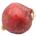 Artifiicial Onion MHSC14038