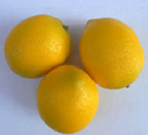 Artificial Yellow Lemons