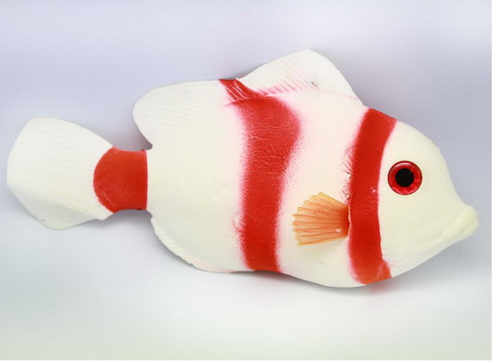 White clownfish white Anemone Fish MH05217