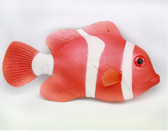 Big Tomato Clownfish  Big Red Clownfish MH05219