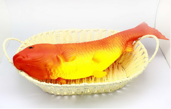 Big Cyprinoid  carp MH05222