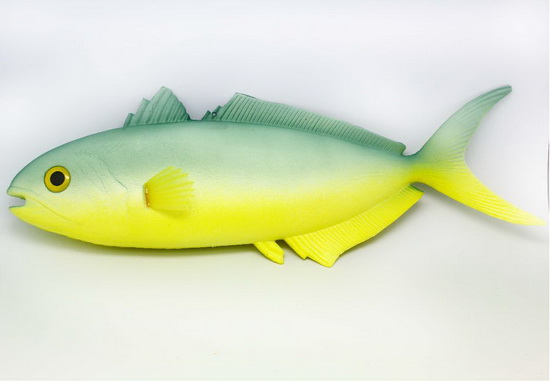 Big Yellow Perch  Bass MH05228