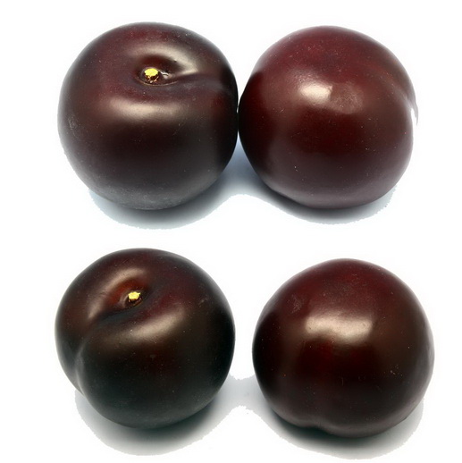 Black Plum