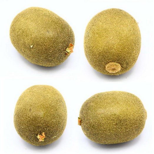 Kiwi Fruit  Chinese gooseberry