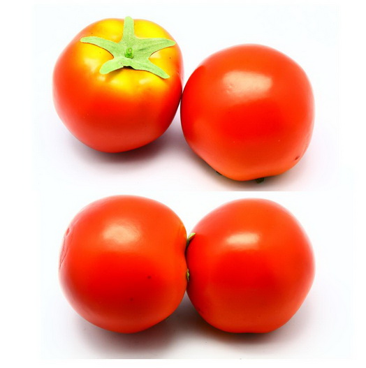 トマト MH055016