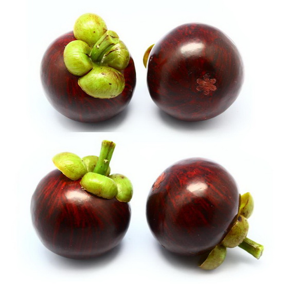 carmine crimson Mangosteen