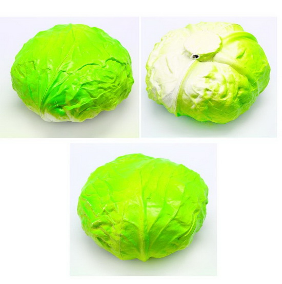 Small-Round cabbage  MH053222