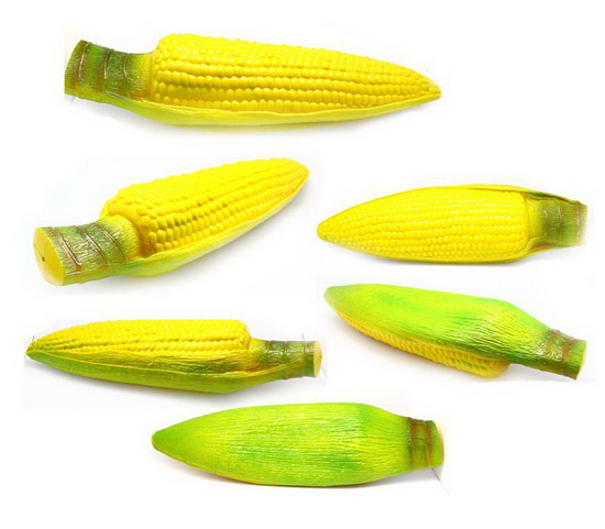 big-yellow corn   MH053233