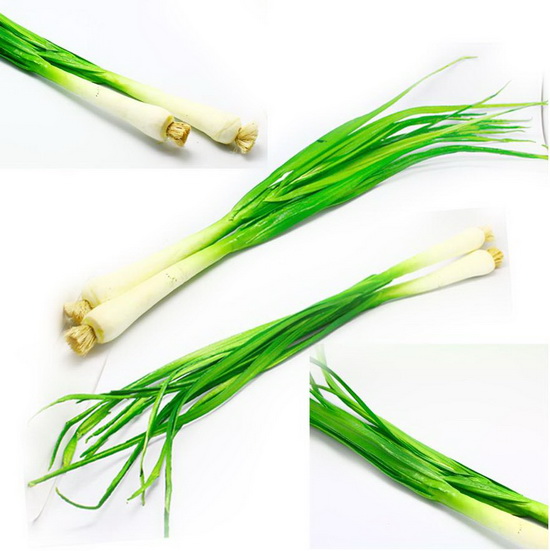Garlic  MH053231